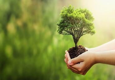 Fiber Inventory | What new bio-based materials are coming out in 2023?